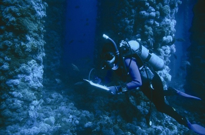 Divers periodically stop at rigs which have turned into lush ecosystems © JamesForte / Lovelab